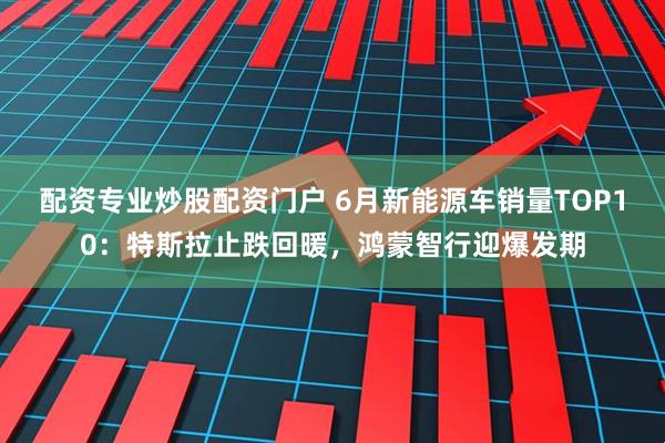 配资专业炒股配资门户 6月新能源车销量TOP10：特斯拉止跌回暖，鸿蒙智行迎爆发期