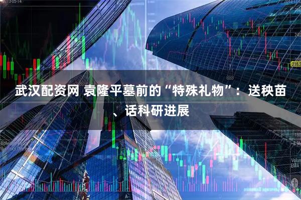 武汉配资网 袁隆平墓前的“特殊礼物”：送秧苗、话科研进展